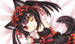 动漫狂,动漫狂的奇幻冒险之旅