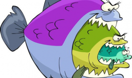 奇葩鱼动漫在线,揭秘奇葩鱼动漫的奇幻世界